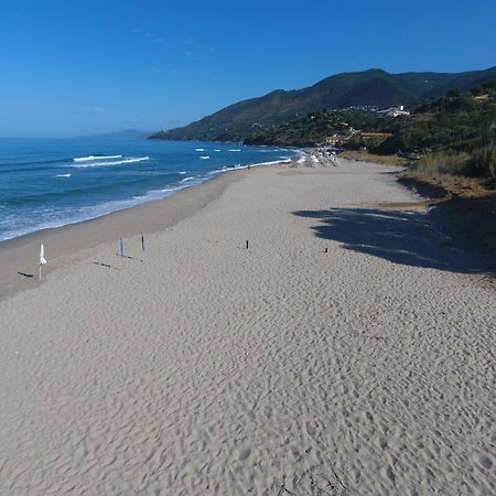 Residence Le Palme - Appartamenti Sul Mare - Spiaggia Tra Palinuro E Caprioli Pisciotta Eksteriør bilde