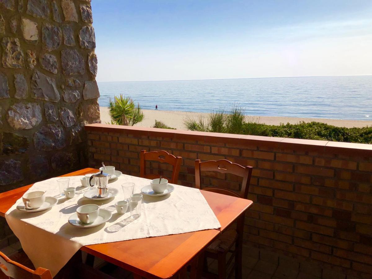 Residence Le Palme - Appartamenti Sul Mare - Spiaggia Tra Palinuro E Caprioli Pisciotta Eksteriør bilde